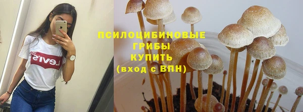 хмурый Елабуга