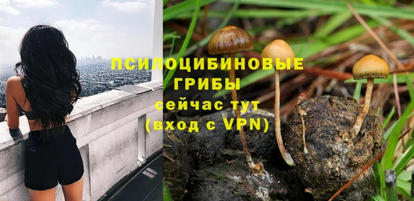 не бодяженный Ельня